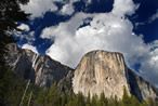 Yosemite Redwoods