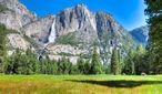 Yosemite Redwoods