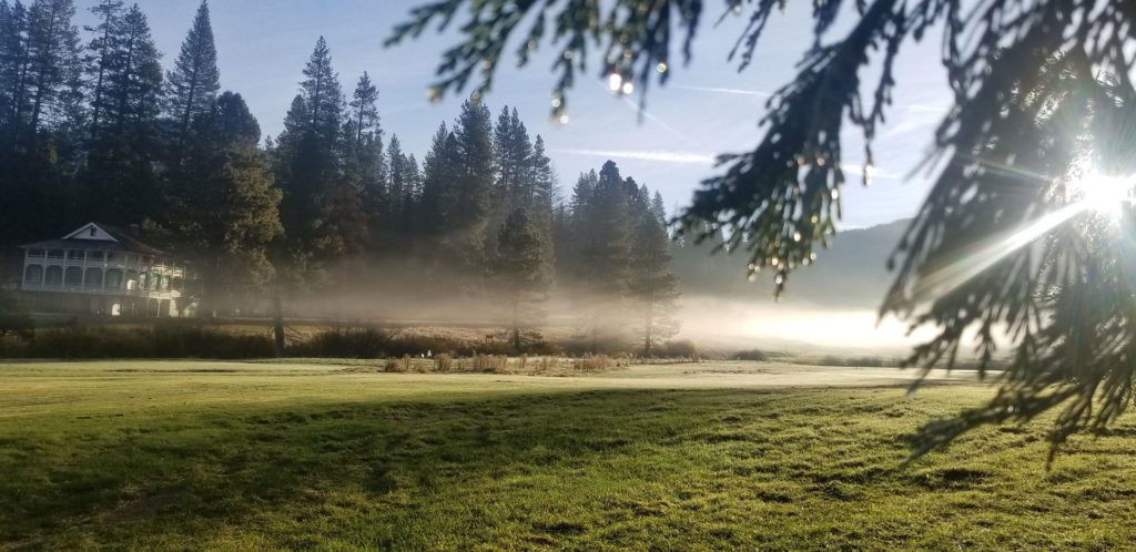 early morning mist on the meadow in Wawona