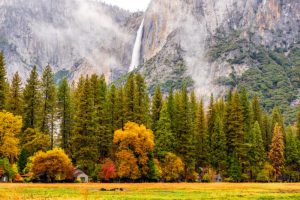 Autumn Trips to Yosemite