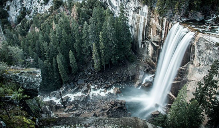 Visiting Yosemite in May - The Redwoods In Yosemite