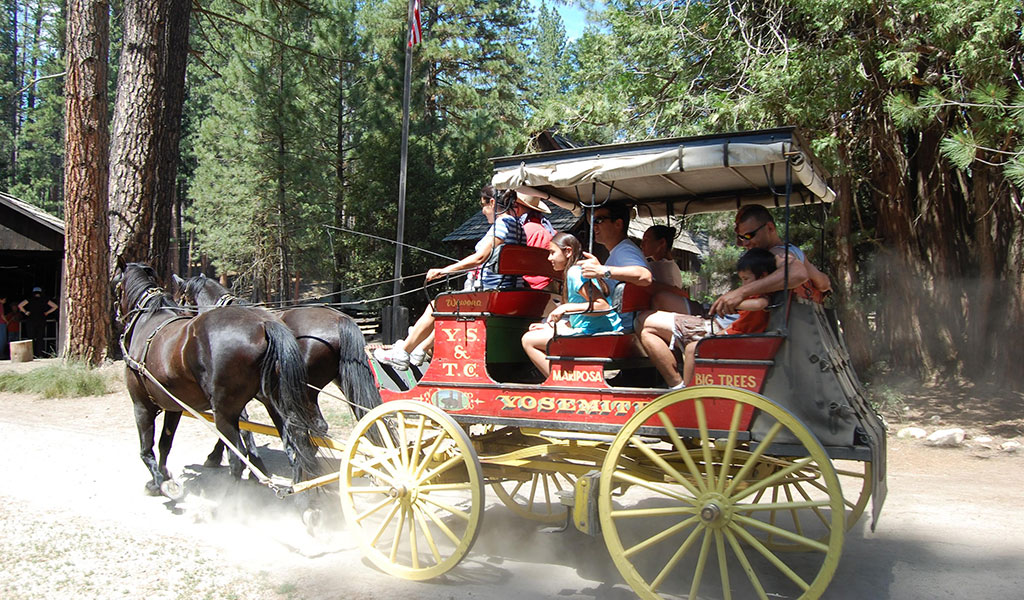 Family taking a horse-drawn stagecoach ride at the Yosemite HIstory Center