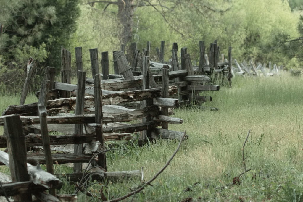 Wooden Fence in Wawona