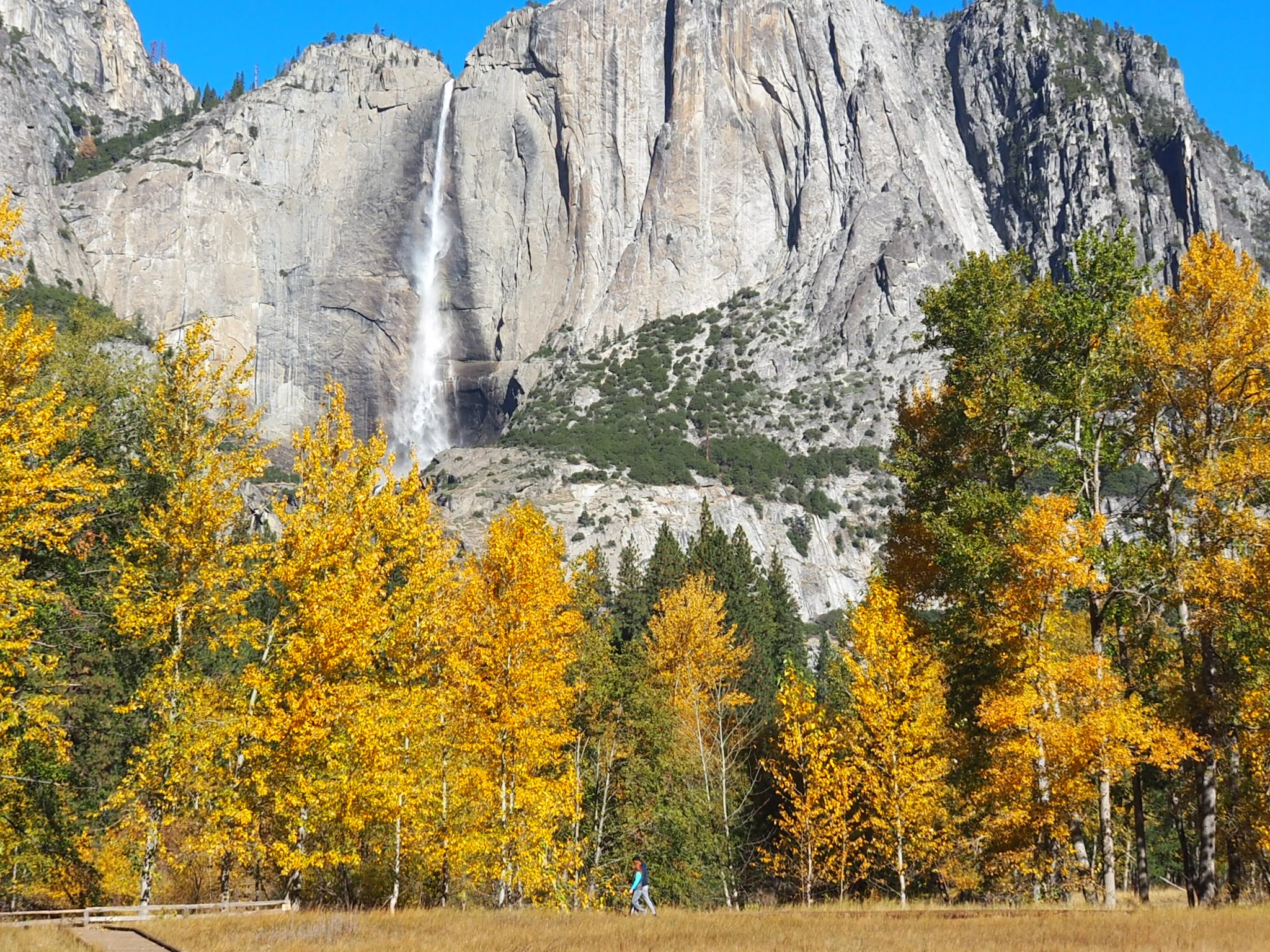 Yosemite in October The Redwoods In Yosemite