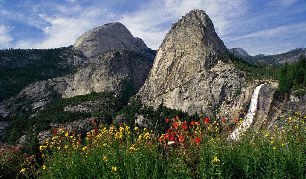 wildflowers blooming on the trail with a view of nevada fall