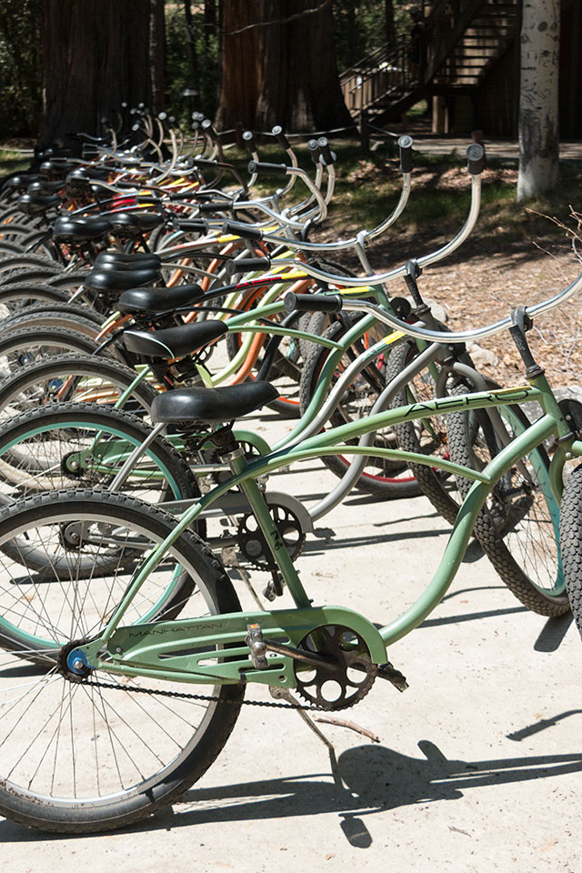 Yosemite Valley bike rentals