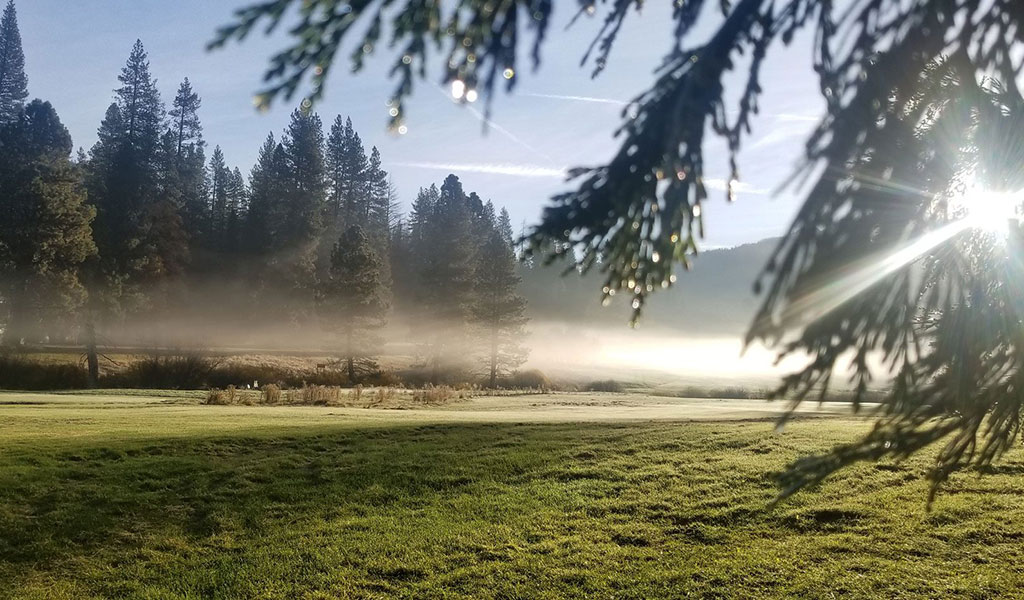 Early morning mist in Wawona Meadow