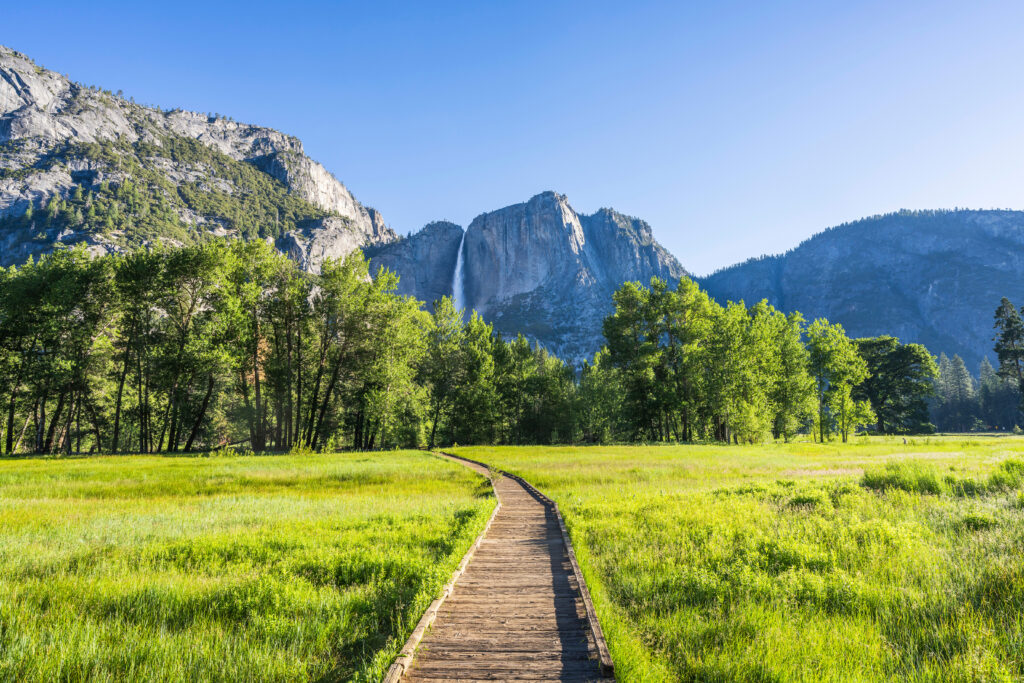 Yosemite Falls view from the Valley Floor in Yosemite