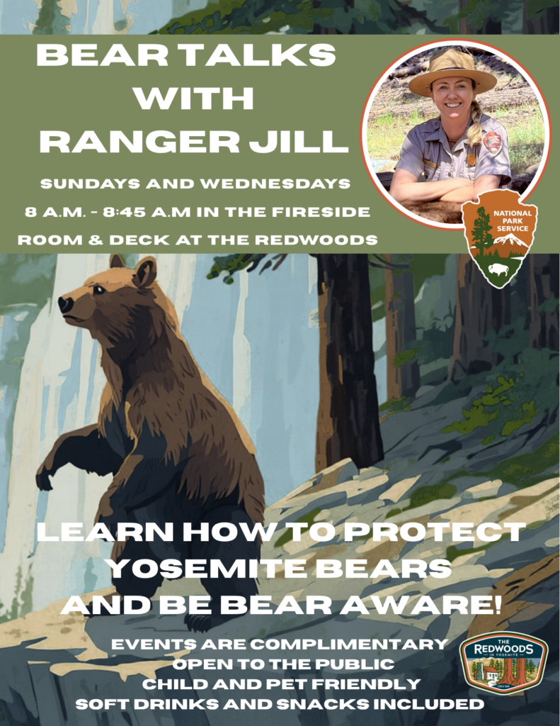Bear Talks with Ranger Jill at The Redwoods In Yosemite