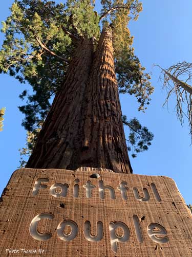 Looking up at the Faithful Couple with the sign in the foreground. Photo - Theresa Ho