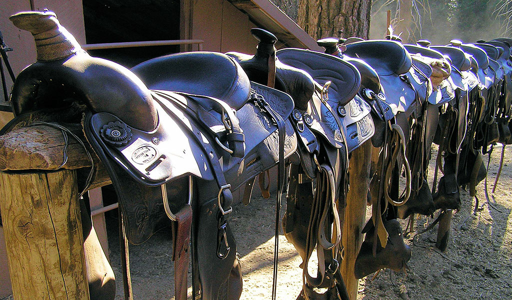 Saddles for horseback riding activities.